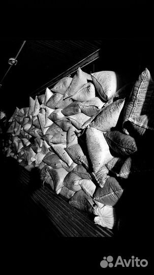 Кедровый орех оптом