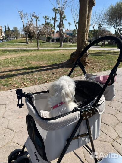 Коляска для собак и кошек