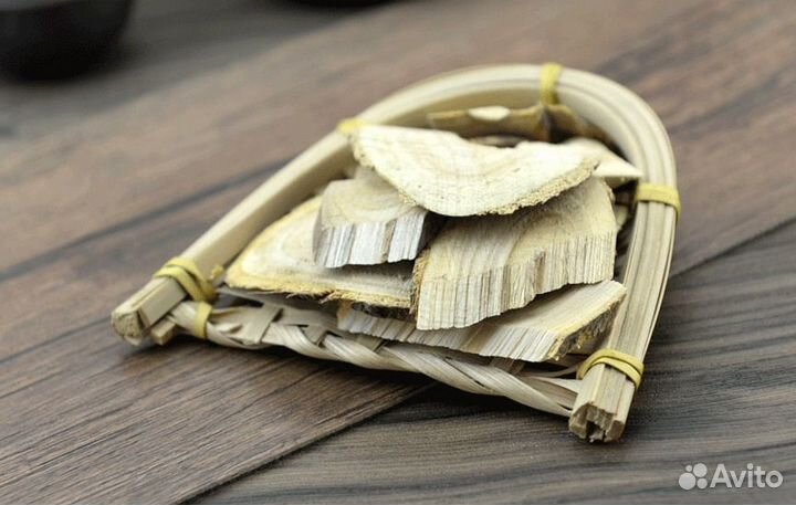 Аралия Маньчжурская