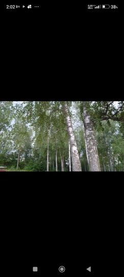 2-к. квартира, 54,5 м², 2/3 эт.