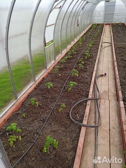 Установка теплиц