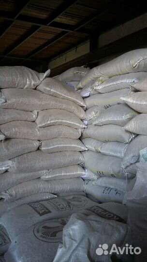 Суточные Цыплята Перепела Кролик Несушка Бройлера