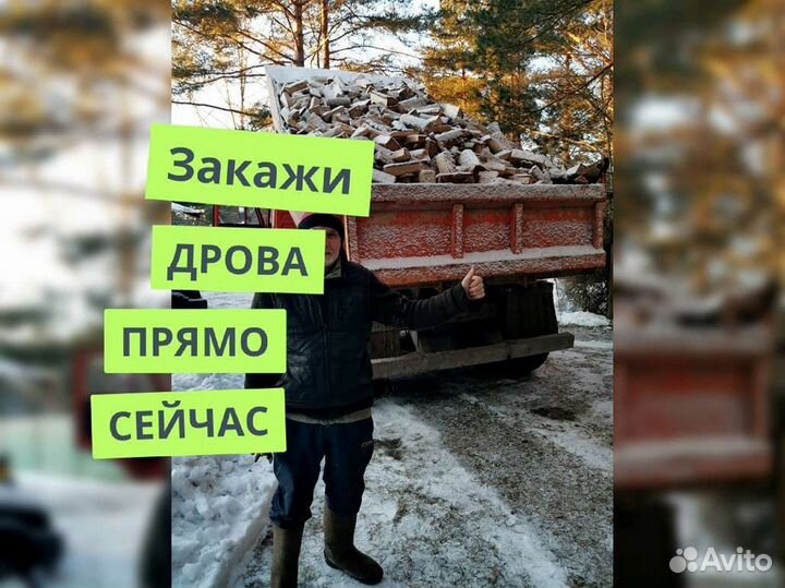 Дрова на дачу