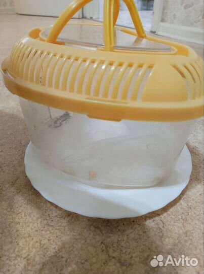 Домик переноска для черепахи и др мелких питомцев