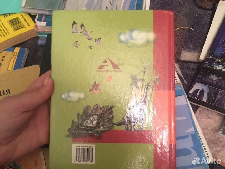 Окружающий мир 2 класс