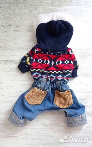 Одежда для маленьких собак