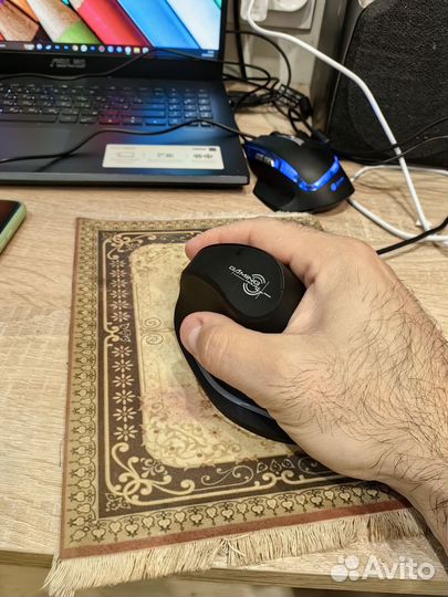Анатомическая компьютерная мышь