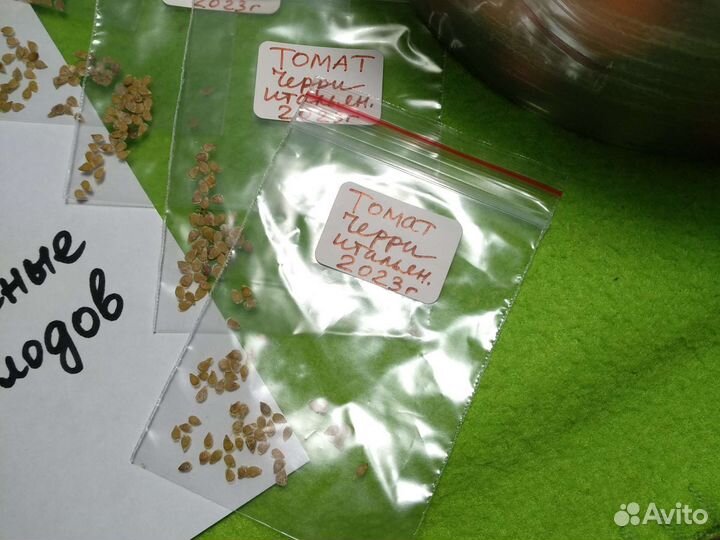 Семена томатов крупных, желтых и черри собственные