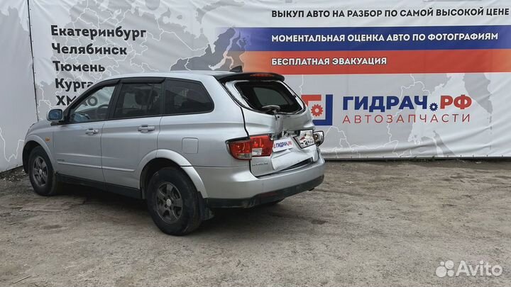 Стекло двери задней правой SsangYong Kyron (D200) 7338609000