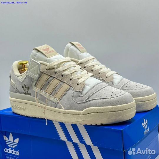 Кроссовки мужские Adidas Forum Low 84