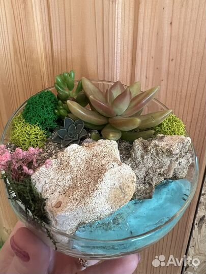 Набор для самостоятельного создания флорариума