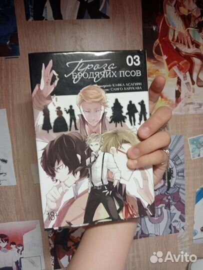 Третий том бродячих псов
