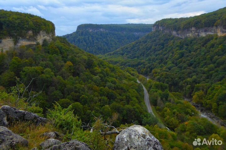 Предложение услуг