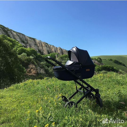 Коляскафирмы Anex коллекция cross 2в1