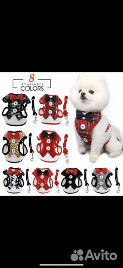 Жилет с поводком для кошки и собаки