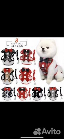 Жилет с поводком для кошки и собаки