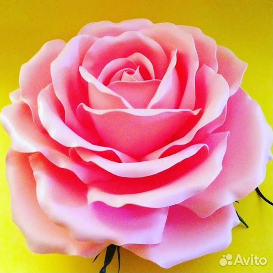 Ростовые цветы