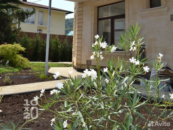 Тротуарная плитка, бордюры, газонная решетка