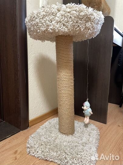 Когтеточка