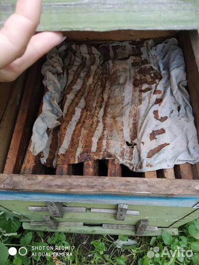 Улей для пчел бу