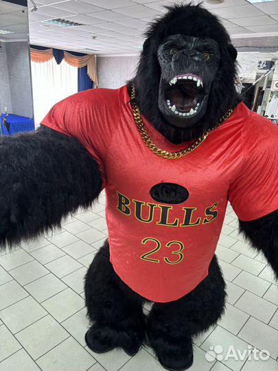 Поздравления Кинг-Конга