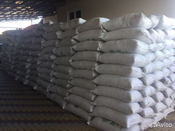 Отход семечки