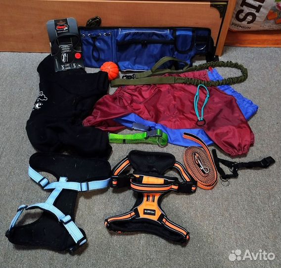 Амуниция, одежда для собак