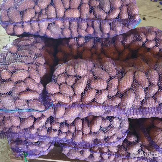 Продам картофель