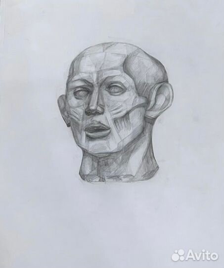 Репетитор по академическому рисунку