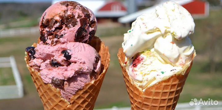 Успешная франшиза: алкогольное мороженое