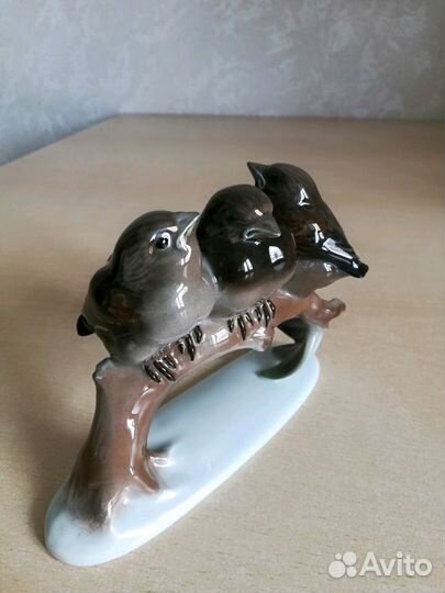 Три воробья на ветке. Rosenthal