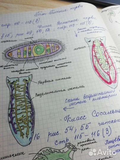 Репетитор по химии и биологии