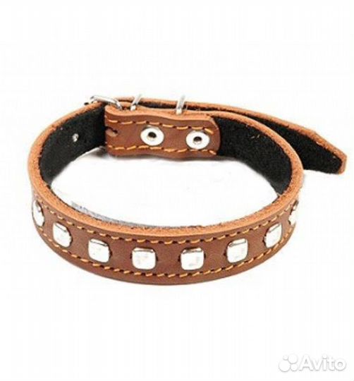 2.20.3.5л Ошейн 20 синт.клеплатун