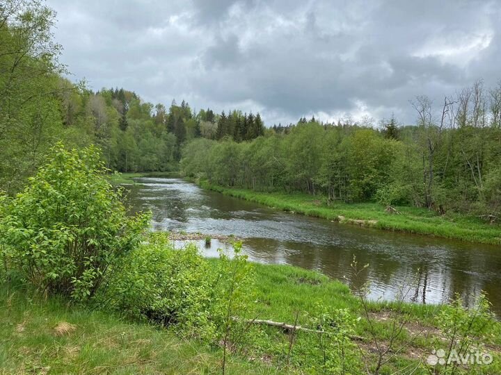 Организатор мероприятий ретритов