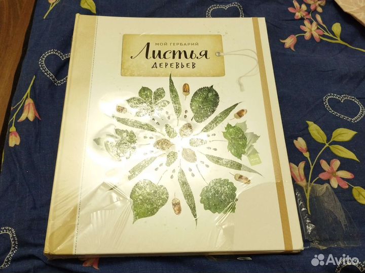 Книга мой гербарий листья деревьев