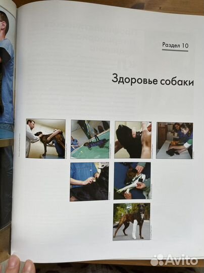 Энциклопеция Собаки