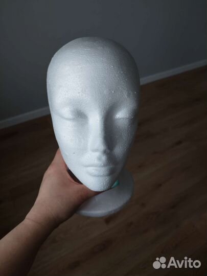 Бюст анатомическая голова