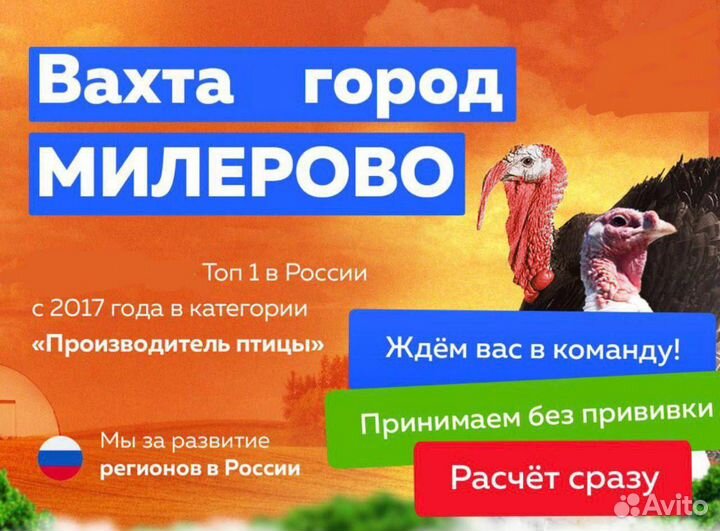 Вахта пакетировщик на Птицефабрике
