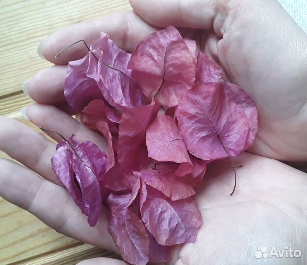 Наполнитель для подарков Сухие лепестки Декор