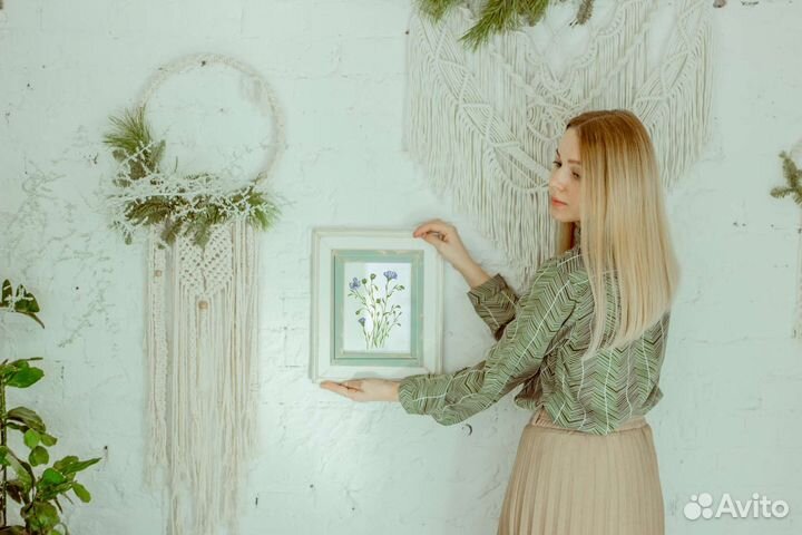 Художник иллюстратор