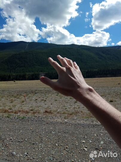 Перегонщик автомобиля