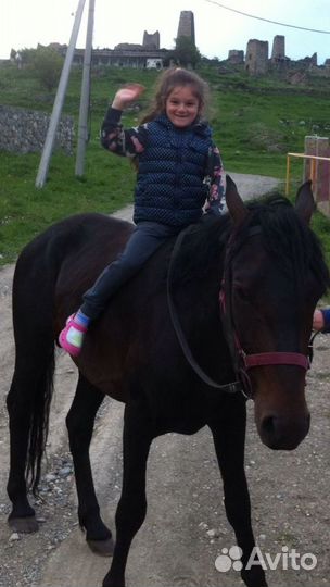 Продаются пони