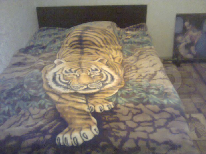 Комната 14 м² в 2-к., 12/12 эт.