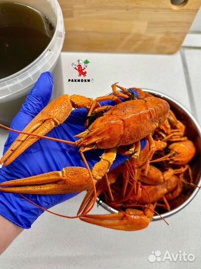 Вкусные раки чудесная варка