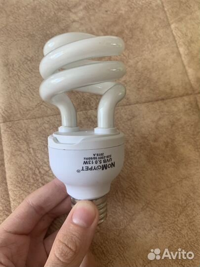 Энерго-сберегающая лампочка для черепах