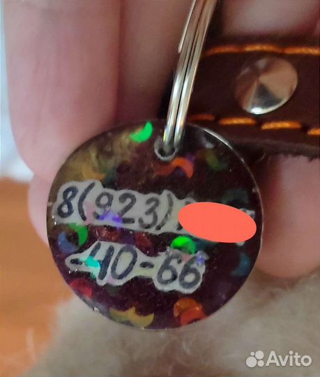 Адресник для собак и кошек