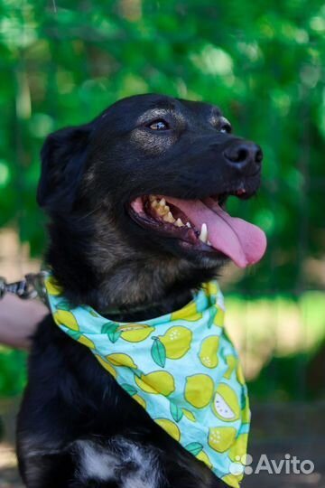 Очаровательный Витя ищет дом