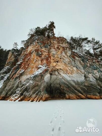 8 янв24 Кын активный: к 