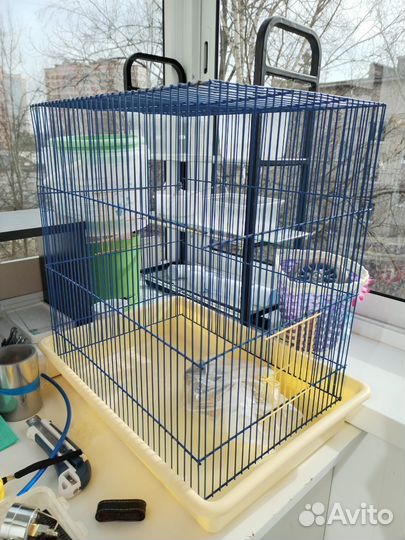 Клетка и переноска для грызунов