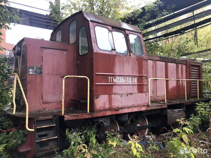 Тепловоз тгм23б